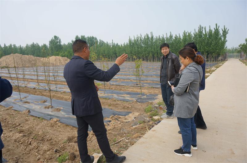 西楊莊:白云天上飄 水環(huán)莊中繞(圖16)