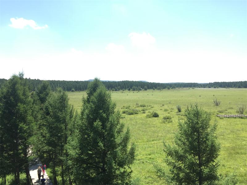 塞罕壩明珠七星湖 詩情畫意似仙境(圖8)