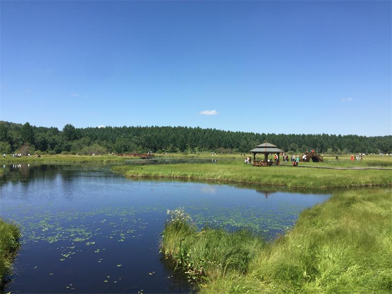 塞罕壩明珠七星湖 詩情畫意似仙境(圖4)