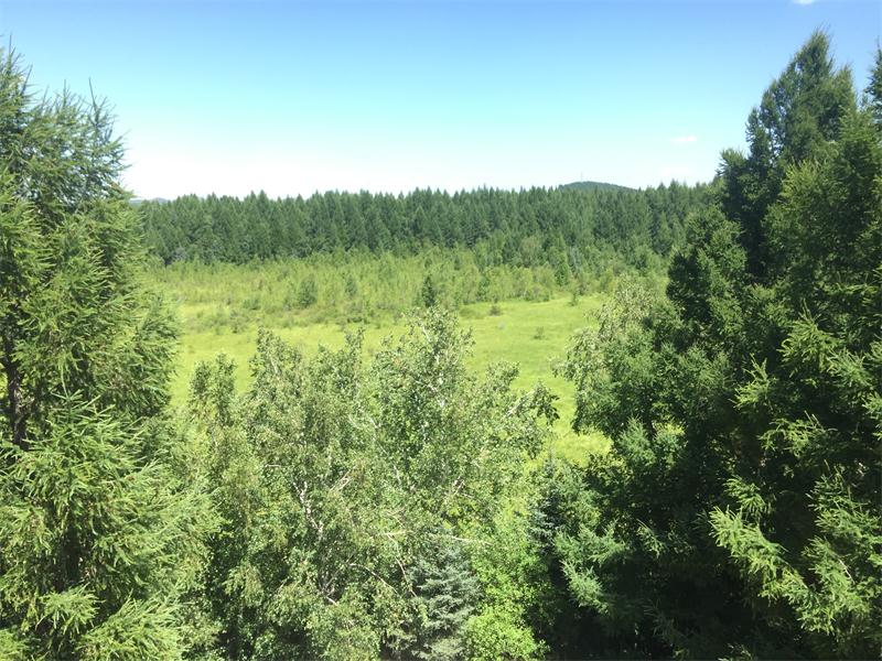 塞罕壩明珠七星湖 詩情畫意似仙境(圖9)