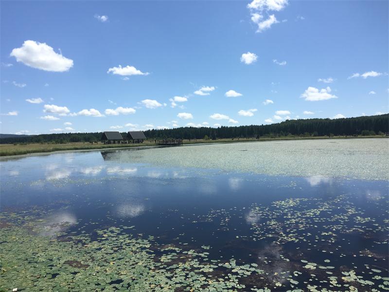 塞罕壩明珠七星湖 詩情畫意似仙境(圖10)