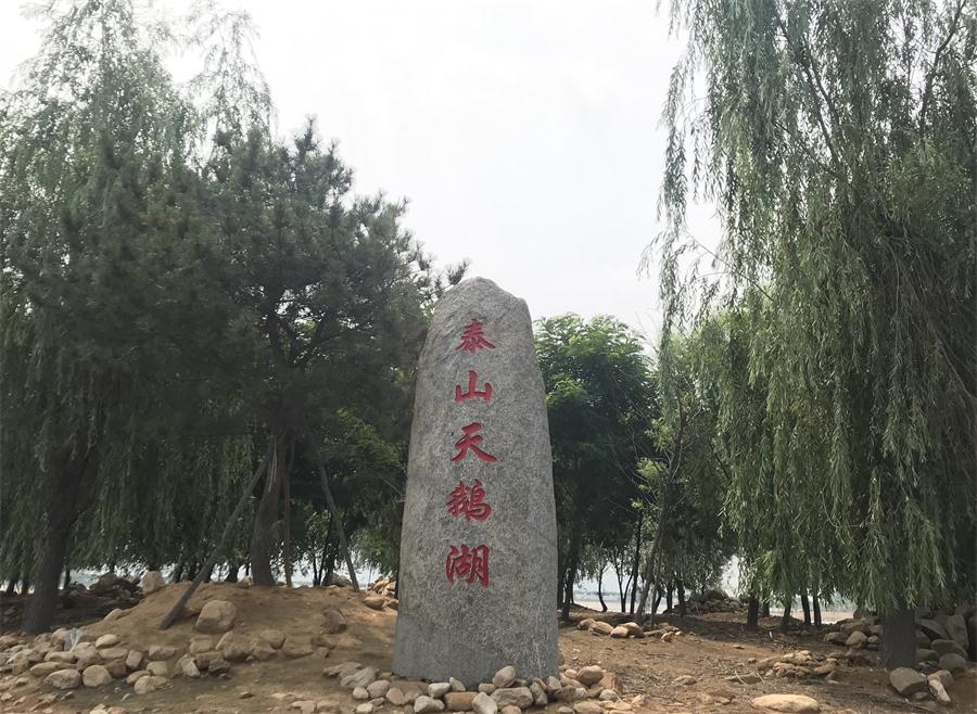 天鵝湖風(fēng)景區(qū)（泰山）速覽！(圖12)