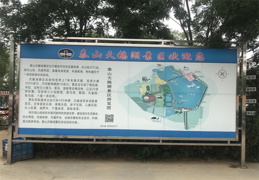 天鵝湖風(fēng)景區(qū)（泰山）速覽！(圖2)