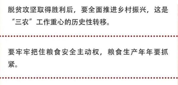 2020年中央農(nóng)村工作會議精神速覽！(圖2)