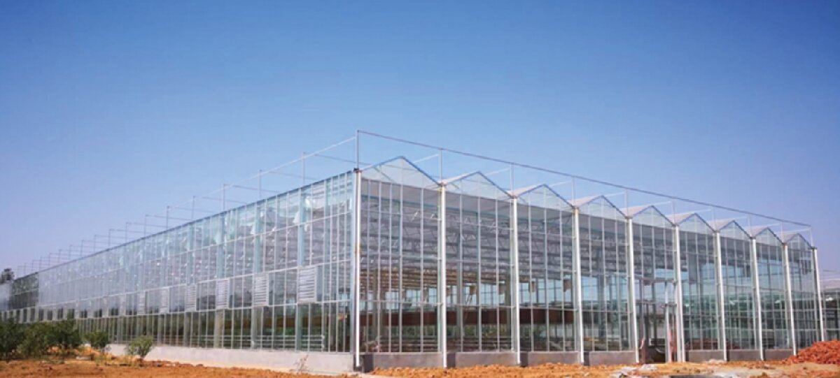 信橋鋼構(gòu)：打卡蒙陰農(nóng)業(yè)溫室大棚、青州黑牛養(yǎng)殖基地！(圖2)